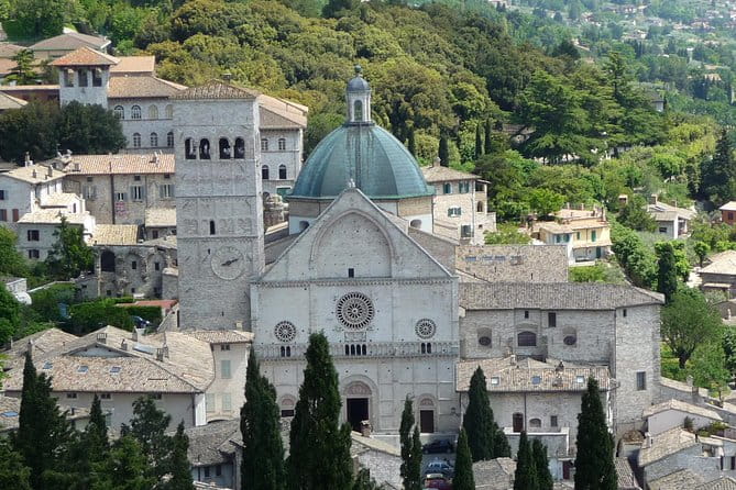 Assisi, Deruta & organic gourmet lunch at the olive oil farmhouse from SIENA - Key Points / Takeaways