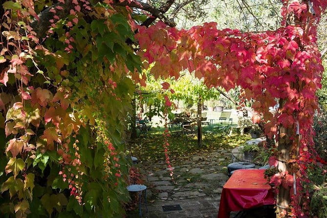 Assisi, Deruta & organic gourmet lunch at the olive oil farmhouse from SIENA - Exploring Deruta and Its Famous Ceramics