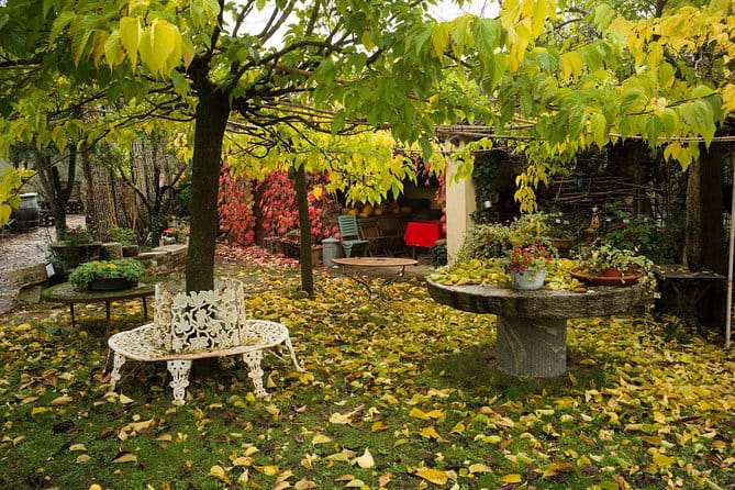 Assisi, Deruta & organic gourmet lunch at the olive oil farmhouse from SIENA - Who Will Appreciate This Tour Most?