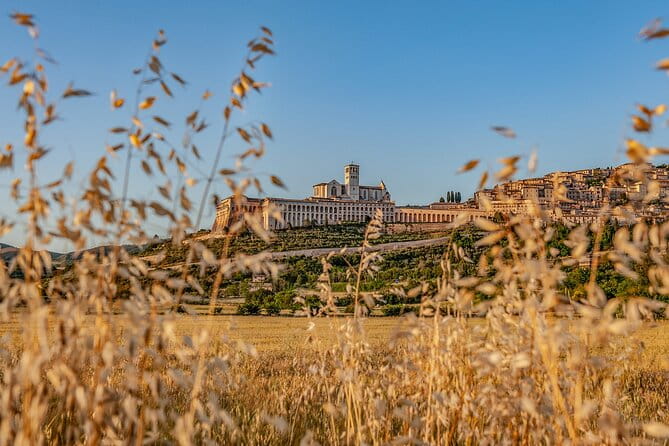 Assisi on the Footsteps of St. Francis and Carlo Acutis - Key Points / Takeaways