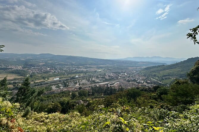 Assisi, Orvieto and Civita di Bagnoregio Full Day Tour from Rome - Price, Logistics, and Overall Value