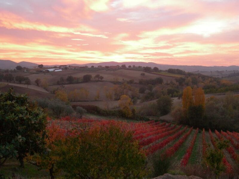 Assisi Rental Vespa '125cc - full day - Exploring Assisi on a Vespa: Highlights and Hidden Corners
