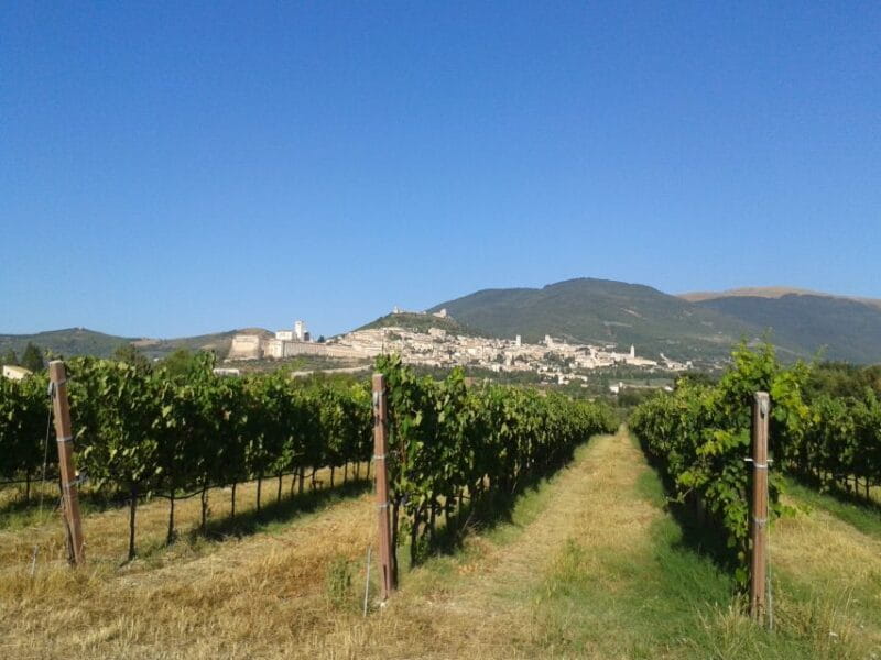 Assisi Rental Vespa '125cc - full day - Practical Details: Price, Logistics, and What’s Included