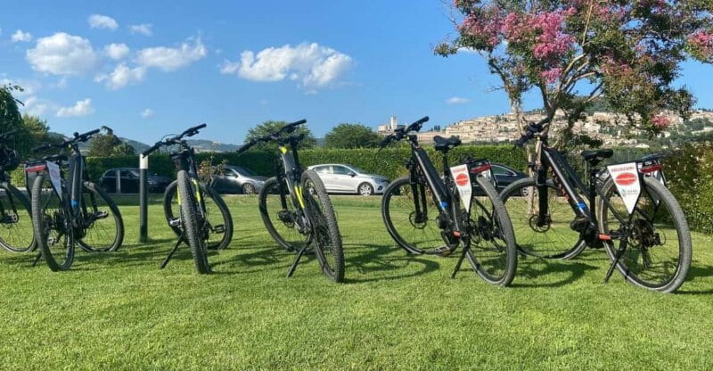Assisi to Spello Bike & Wine Tour - The Ride Begins in Assisi: Perfect for Beginners and E-Bike Enthusiasts Alike
