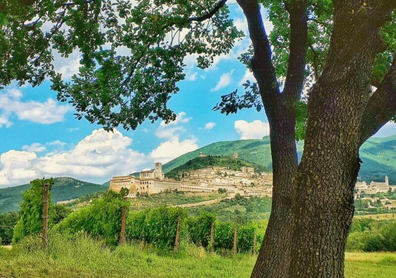 Assisi: Wine tasting, gourmet pairing, walk in the vineyards - The Gourmet Pairings: Simple but Delicious