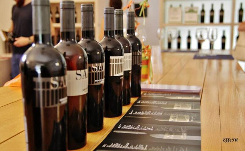 Assisi: Wine tasting, gourmet pairing, walk in the vineyards - Walking in the Vineyards: Panoramas and Practicalities