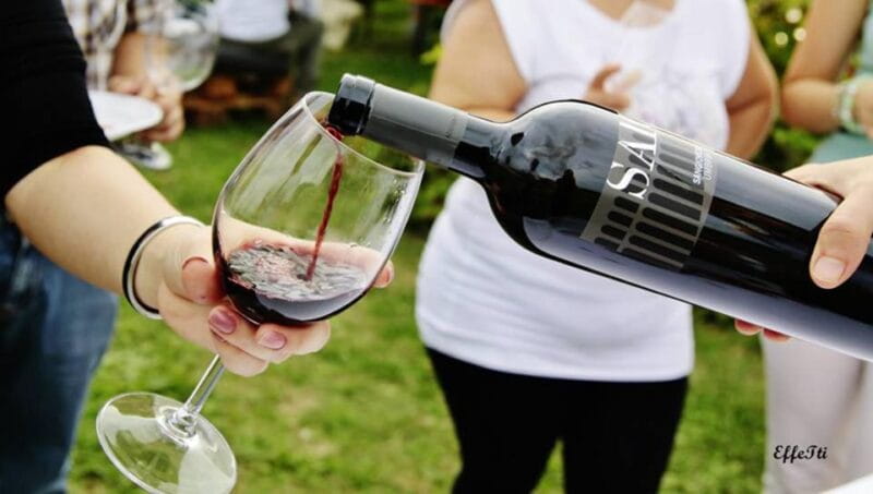 Assisi: Wine tasting, gourmet pairing, walk in the vineyards - The Value and Overall Impression