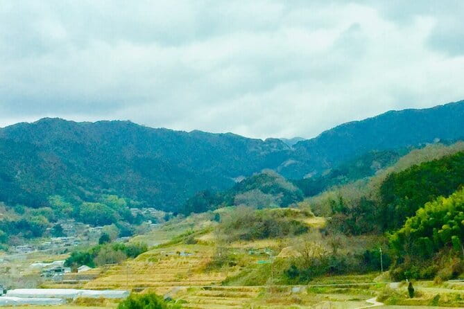 Asuka Private Full-Day Guided Tour From Kashihara - Customer Reviews and Ratings