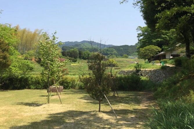 Asuka Private Full-Day Guided Tour From Kashihara - Tips for a Great Experience