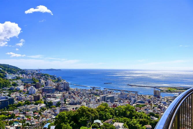 Atami Full-Day Private Tour With Government-Licensed Guide - Customizing Your Tour