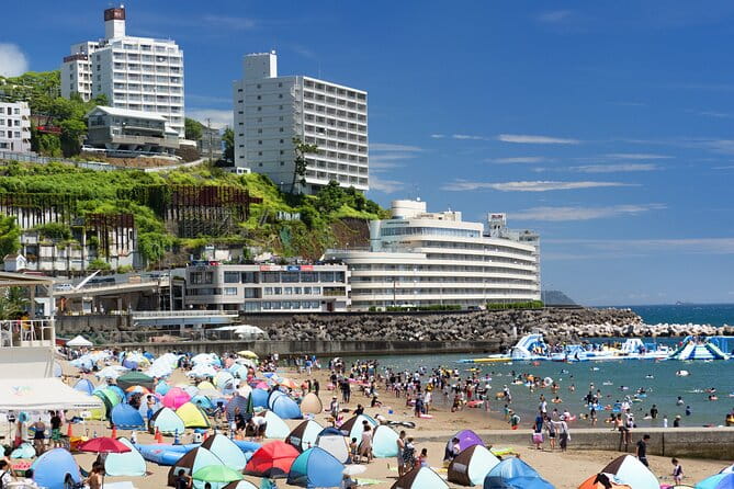 Atami Full-Day Private Tour With Government-Licensed Guide - Transportation and Accessibility