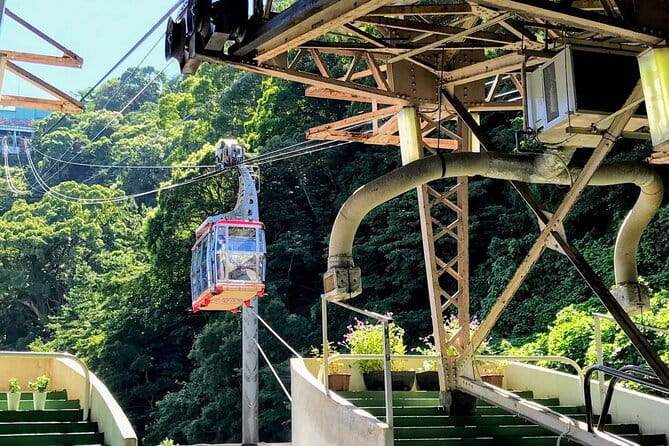Atami Half-Day Private Tour With Government-Licensed Guide - Visiting Hōtō-ji Temple
