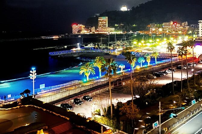 Atami Half-Day Private Tour With Government-Licensed Guide - Discovering Kinomiya Shrine