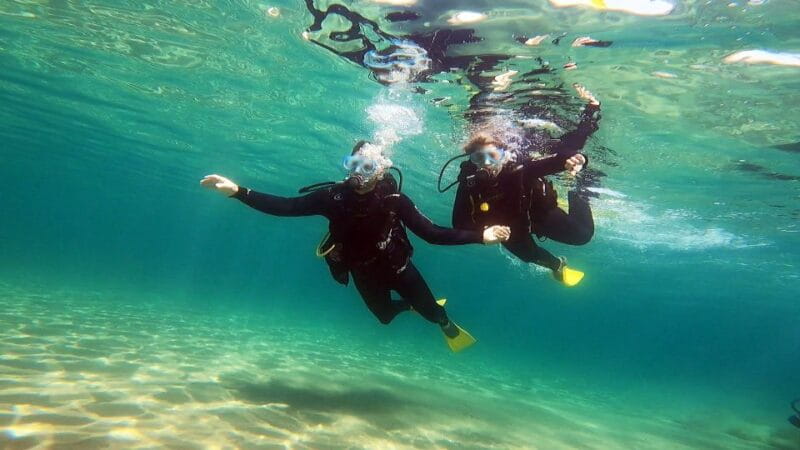 Athens East Coast: Discover Scuba Diving in Nea Makri - The Itinerary: What to Expect from Start to Finish