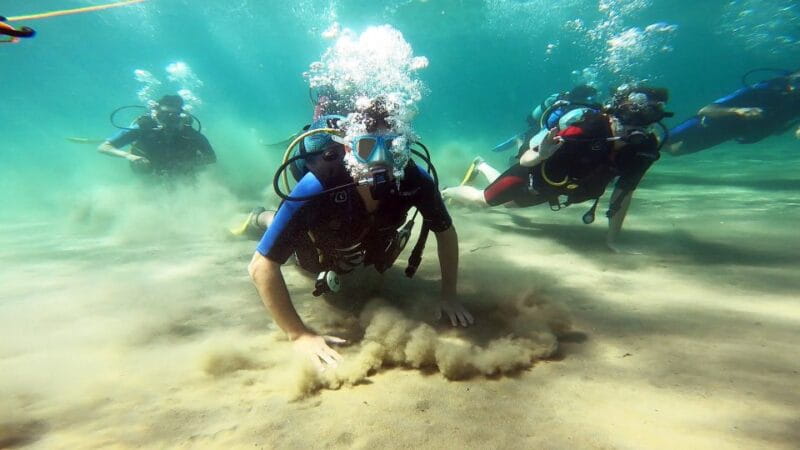 Athens East Coast: Discover Scuba Diving in Nea Makri - Final Thoughts: Who Will Love This?