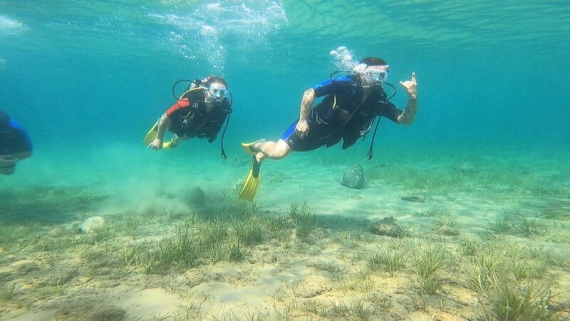 Athens East Coast: Open Water Diver Course in Nea Makri - Who Will This Course Suit Best?