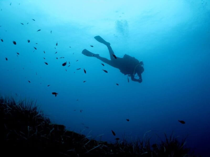 Athens East Coast: Open Water Diver Course in Nea Makri - Final Thoughts
