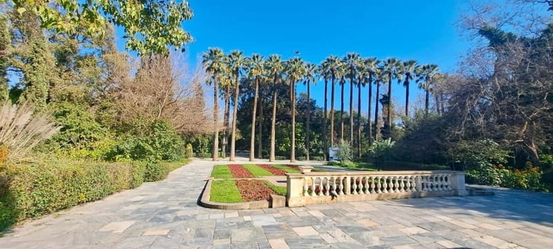 Athens Fun Day with a Local (Walking tour) - Key points / Takeaways