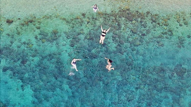 Athens: Half-Day Semi-Private Trip To Cape Sounio/Poseidon - Logistics, Cost, and Overall Value