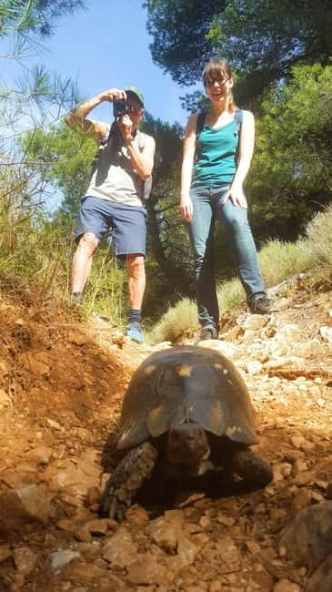 Athens Historical Hiking with Lunch - FAQs