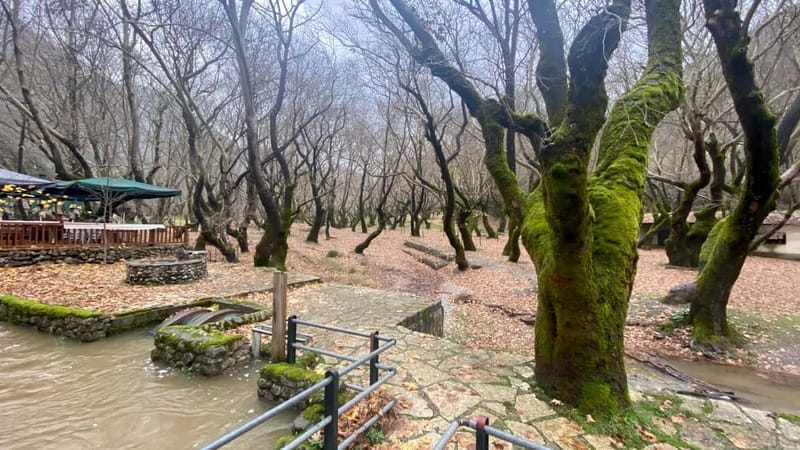 Athens: Kalavrita UNESCO Global Geopark & Pounta Beach Swim - FAQ