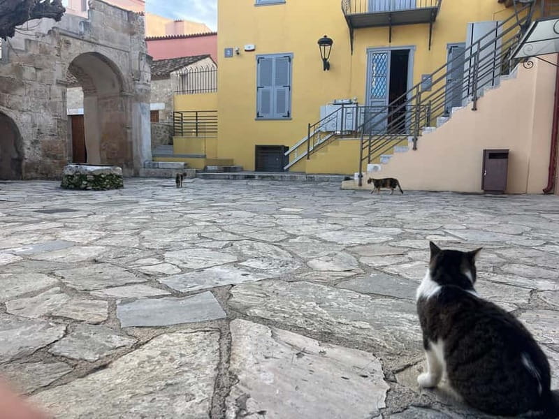 Athens: Museum of Modern Greek Culture Entry Ticket - Frequently Asked Questions