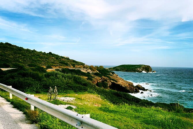 ATHENS OLIVE ESTATE - Olive Oil Workshop with Farm-to-Fork Lunch - Discovering the Greek Olive Oil Heritage in a Sustainable Setting