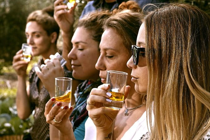 ATHENS OLIVE ESTATE - Olive Oil Workshop with Farm-to-Fork Lunch - The Sum Up