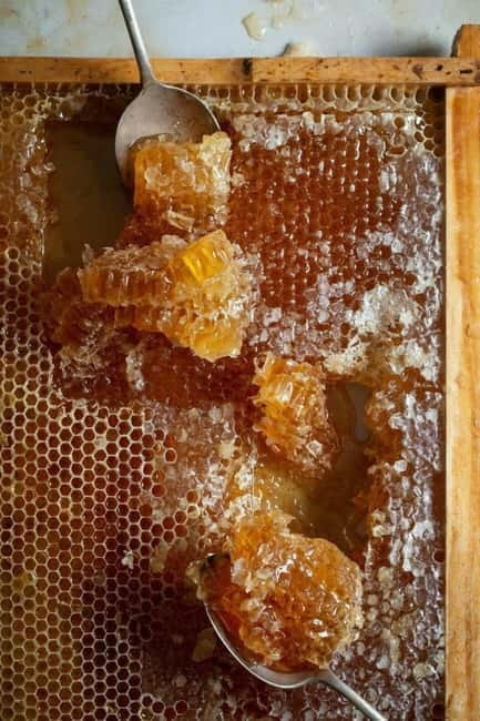 Athens: Premium Greek Honey Tasting - Practical Tips for Booking and Enjoying