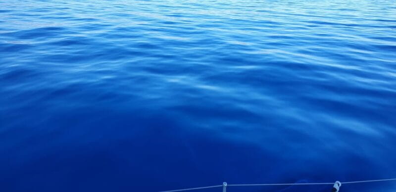 Athens Riviera Private Catamaran Cruise with Meal and Drinks - Practical Tips for a Great Day Out