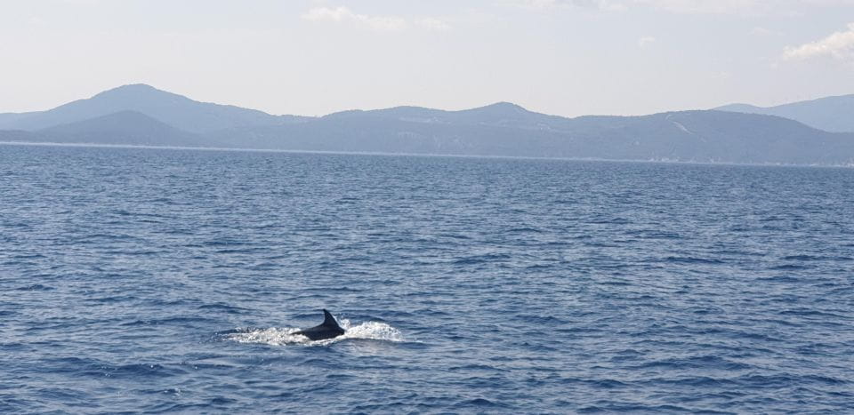 Athens Riviera Private Catamaran Cruise With Meal and Drinks - Important Considerations