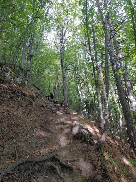 Athens to Mount Olympus: 2 days private tour - Key points / Takeaways