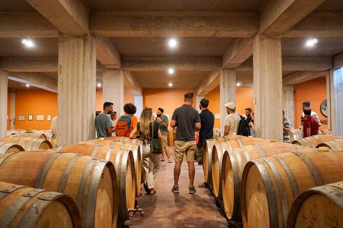 Athens to Nemea Wine Experience Tour - Key Points / Takeaways