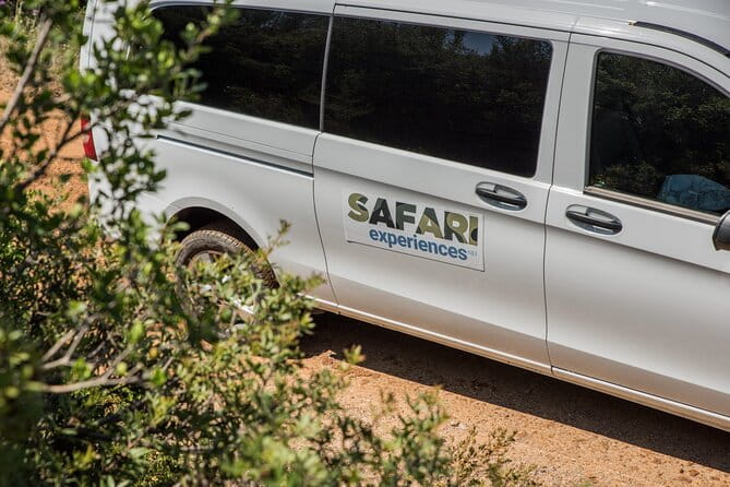 Athens West 4x4 Blue Lagoon Safari Adventure - Final Thoughts: Is It Worth It?