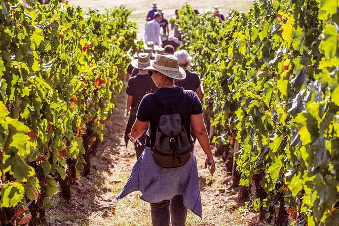 Athens Wine Tour - An Outstanding Full Day Experience For Dedicated Winelovers - Key points / Takeaways