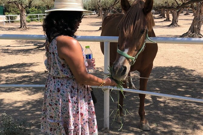 Athens Wine Tour - An Outstanding Full Day Experience For Dedicated Winelovers - Frequently Asked Questions (FAQs)