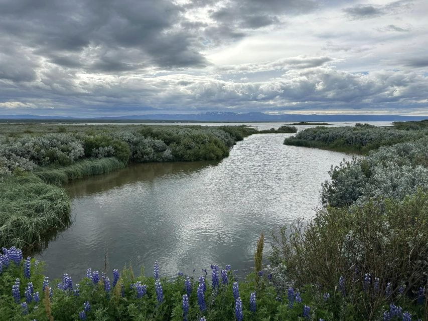 ATV Guided Trip Close to Dettifoss Iceland - Suitability and Requirements