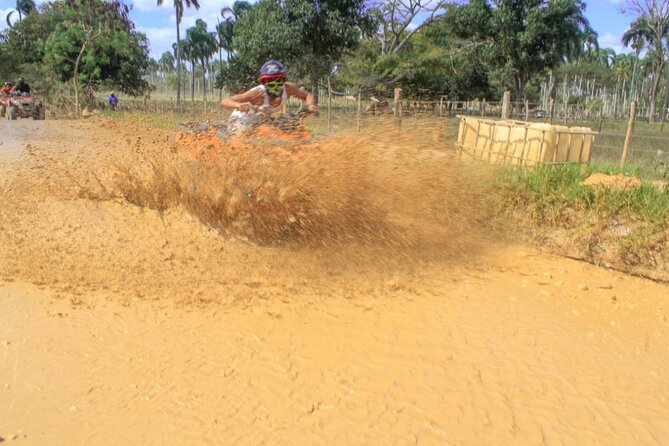 ATV Tour + Breef Safari + River Cave and Macao Beach - Local Home and Production Tour