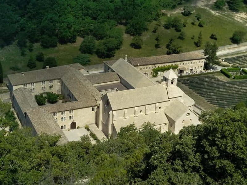 au départ Avignon: half-day lavender tour - Who Will Love This Tour?