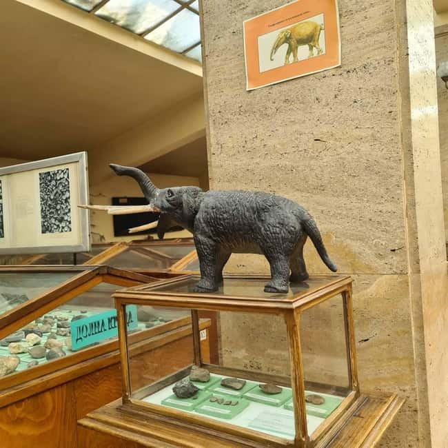 Audio Guide for Museum Paleontology and Historical Geology - Key Points / Takeaways