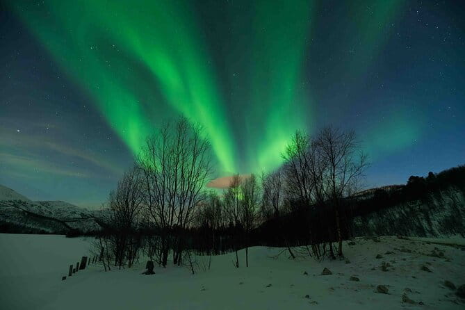 Aurora Hunt with Professional Photographer from Alta - Practical Details and Tips