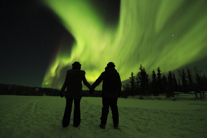 Aurora Hunting Tours - Scheduling and Availability