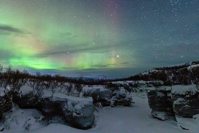 Aurora Tour with Dinner in Abisko - Key Points