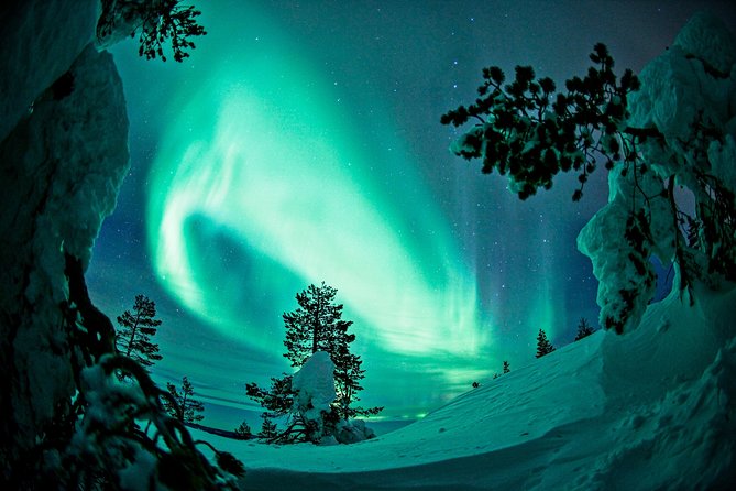 Auroras in Saariselkä – Northern Lights Photo Tour by Car and on Foot - Transportation and Guide Services