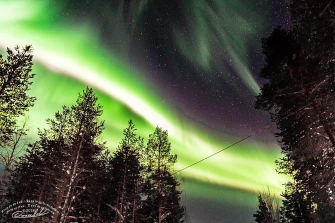 Auroras - Northern Lights Tours by Aurora Experts - Rovaniemi - Key points / Takeaways