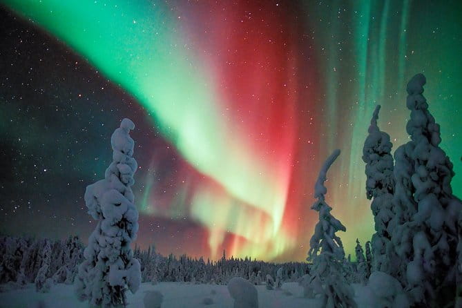 Auroras - Northern Lights Tours by Aurora Experts - Rovaniemi - How the Itinerary Plays Out