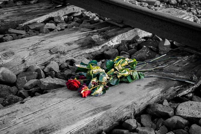 Auschwitz Birkenau and Salt Mine Full Day Guided Tour from Krakow hotel pick up - FAQs