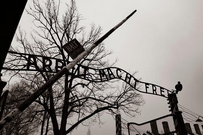 Auschwitz-Birkenau and Wieliczka Salt Mine Day Tour from Krakow with private car - Key Points