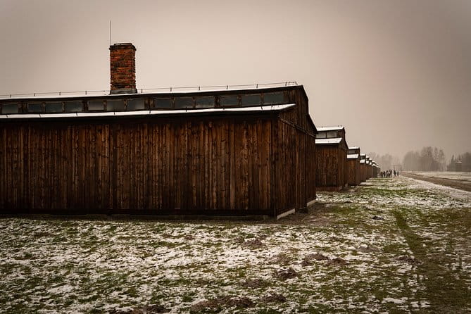 Auschwitz-Birkenau and Wieliczka Salt Mine Day Tour from Krakow with private car - The Experience in Detail