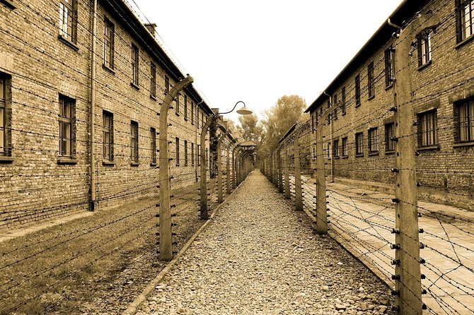 Auschwitz-Birkenau Group Tour From Krakow - Security Checks and Disinfection